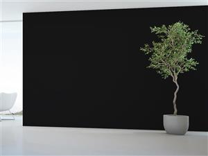 کاغذ دیواری ساده M20015800