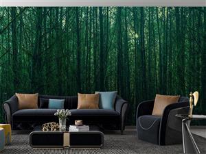 پوستر دیواری جنگل درخت M10058500