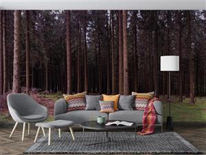 پوستر دیواری جنگل طبیعت M10059500