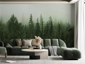 پوستر دیواری طبیعت جنگل M10056210