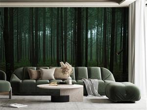 پوستر دیواری جنگل طبیعت M10052900