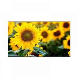 مانیتور صنعتی ویدئو وال میوا Meva 55AM53D-B1