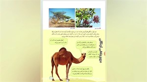 دانلود پاورپوینت پوشش گیاهی و زندگی جانوری در ایران درس هجدهم مطالعات اجتماعی پایه چهارم دبستان