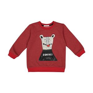 سویشرت نوزادی پسرانه فیورلا مدل 32551-04 Fiorella 32551-04 Sweatshirt For Baby Boys