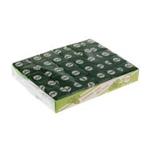 Chic Mint Flavor Chewing Gum 240 PCS