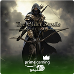 پرایم بازی Elder Scrolls Online