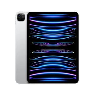 تبلت اپل آیپد پرو 11 اینچ 2022 فایوجی  ظرفیت 1 ترابایت Apple iPad Pro 11 inch 2022 5G 1TB Tablet