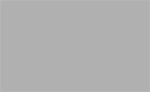 فون کاغذی طوسی BD Graystone background paper #119 Plaza Gray