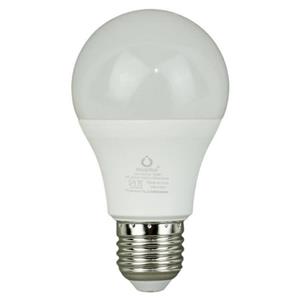 لامپ حبابی LED نوریکس Noorix E27 15W