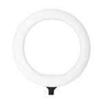 رینگ لایت سی یرا Sierra Ring Light 520A