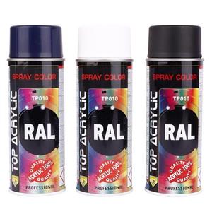 اسپری رنگ Eco Service RAL TP010 400ml