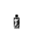 عطر ابرکرومبی اند فیچ فییرس (فیرس) مردانه Abercrombie and Fitch Fierce