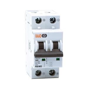 کلید مینیاتوری 2 پل 40 آمپر RB-MD-2P-B40-10KA رعد