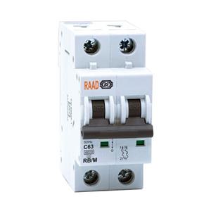 کلید مینیاتوری 2 پل 63 آمپر RB-M-2P-C63-6KA رعد