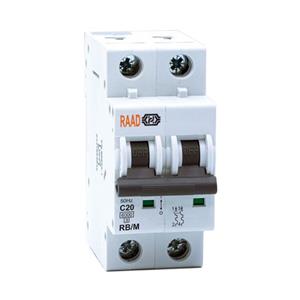 کلید مینیاتوری 2 پل 20 آمپر RB-M-2P-C20-6KA رعد