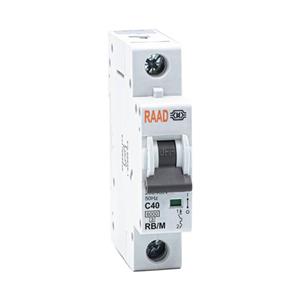 کلید مینیاتوری 1 پل 40 آمپر RB-M-1P-C40-6KA رعد