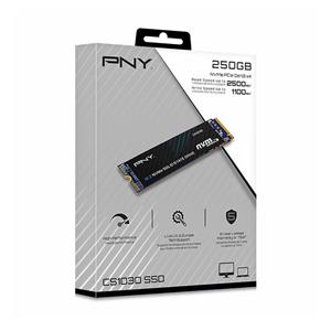 اس اس دی اینترنال پی ان وای مدل CS1030 M.2 NVMe 250GB 