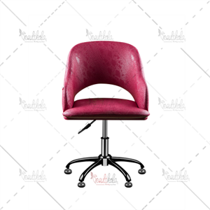 کوپ مدل پانیذ