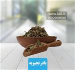 دمنوش بادرجنبویه مقدار 50 گرم