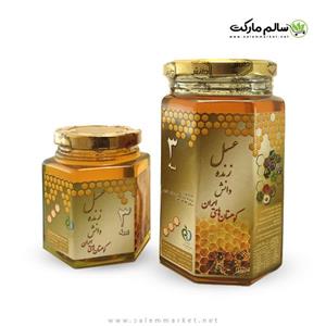 عسل سه ستاره دانش (احیای سلامت) 1 کیلویی