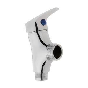 شیر قو دیواری کاشانه