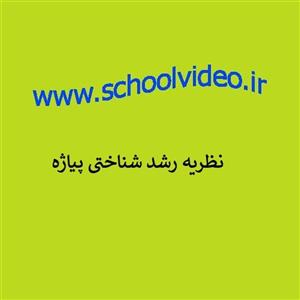نظریه شناختی پیاژه