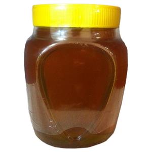 عسل گون ویژه شیشه ای افرینش 1000 گرمی 