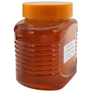 عسل کوهستان 1 کیلوگرمی