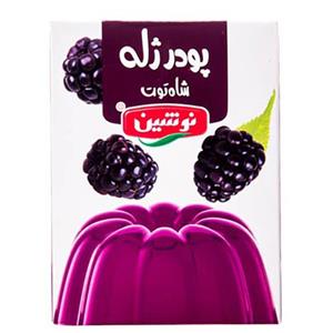 پودر ژله شاه توت نوشین 100 گرمی