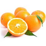 پرتقال تامسون جنوب درجه یک بسته بندی 1 کیلوگرم
