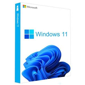 ویندوز 11 نسخه با پک و لایسنس اصلی Windows 11 Enterprise Original