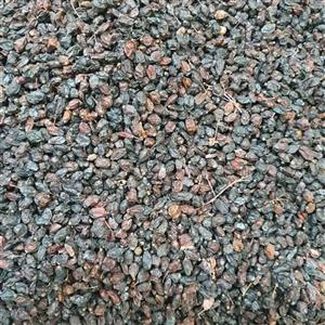 زرشک کوهی ۵۰۰ گرم اقای آجیل