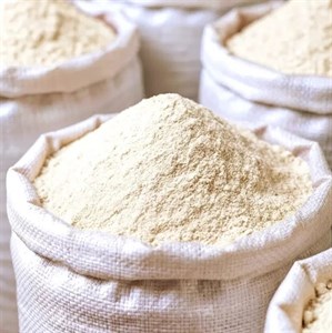 پودر سیر اعلا 300 گرمی