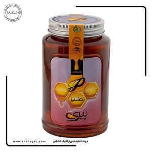 عسل گشنیز پیری حجم ۱۰۰۰ گرم