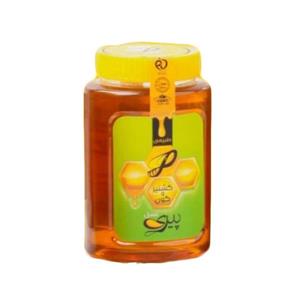 عسل گشنیز و گون پیری حجم ۱۰۰۰ گرمی پک ۶ عددی