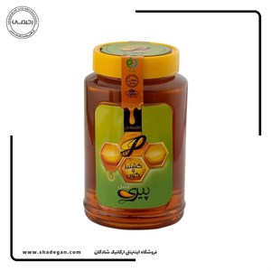 عسل گشنیز و گون پیری حجم ۱۰۰۰ گرم