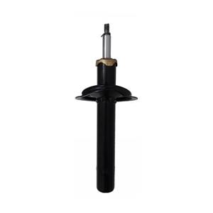 کمک جلو سمند کوشاوران