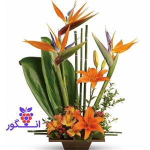 باکس گل پرنده بهشتی
