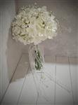 دسته گل هورتانسیا عروس به همراه گل های عروس طبیعی
