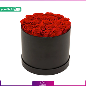 باکس گل رز قرمز 9 شاخه  (تحویل فوری)