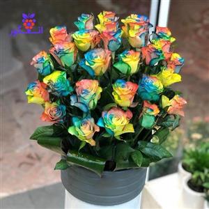 رز باکس نِلین (27 شاخه گل رز هفت رنگ طبیعی)