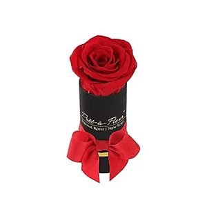 (Delivery to USA) Rose Gift Box