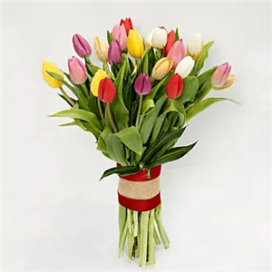 دسته گل لاله (ارسال گل به کویت)
