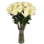 دسته گل 10 شاخه رز Florist’s white roses (ارسال گل به نروژ)