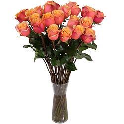 دسته گل 8 شاخه رز Florist’s orange roses (ارسال گل به نروژ) 