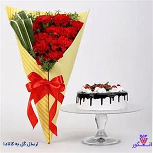 دسته گل میخک قرمز با کیک (ارسال گل به کانادا )