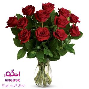(Delivery to USA) Classic Romance Red Roses