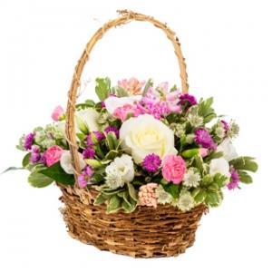 سبد گل (ارسال به بلژیک)