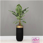 گلدان لوکس هدیه فایبرگلاس درخت گلدانی موز (125-145 سانتی) + زیر گلدانی چرخدار