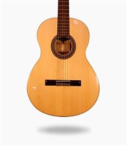 گیتار Alhambra 2CA
